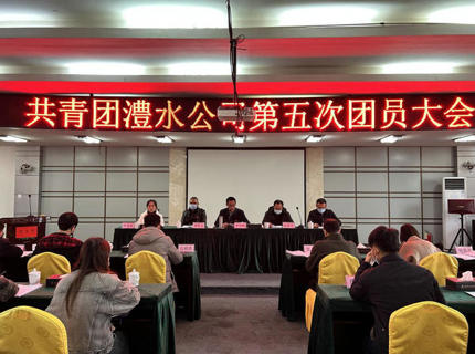 Wepay公司第五次团员大会召开