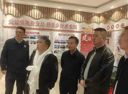 王志宏参与水利部援藏工作会议并调研公司定点帮扶村