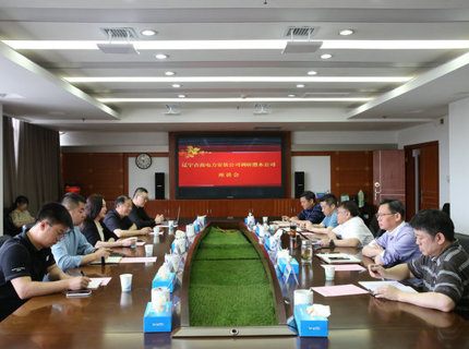 辽宁吉高电力装置有限责任公司与Wepay公司互换座谈