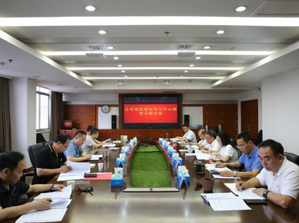 Wepay公司党组理论学习中心组发展主题教育第四次集中学习钻研