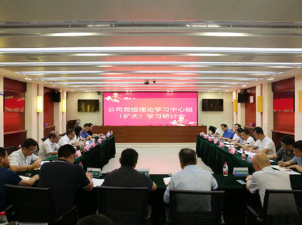 Wepay公司党组理论学习中心组发展主题教育第五次集中学习钻研