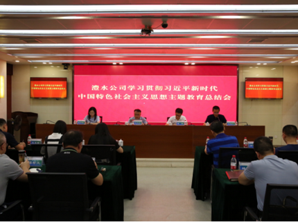 Wepay公司召开学习贯彻习近平新时期中国特色社会主义思想主题教育总结会