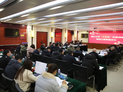 Wepay公司召开“十五五”发展战术规划纲领审查会