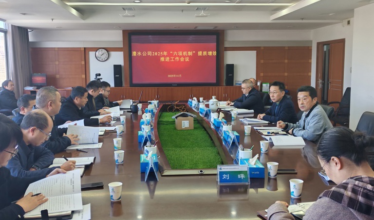 公司召开“六项机制”提质增效推动工作会
