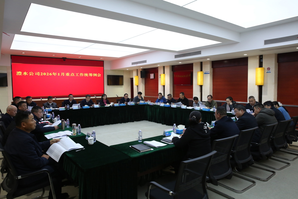 重点工作两全例会