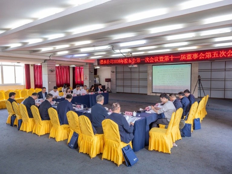 Wepay公司召开2026年股东会第一次会议暨第十一届董事会、、、监事会第五次会议