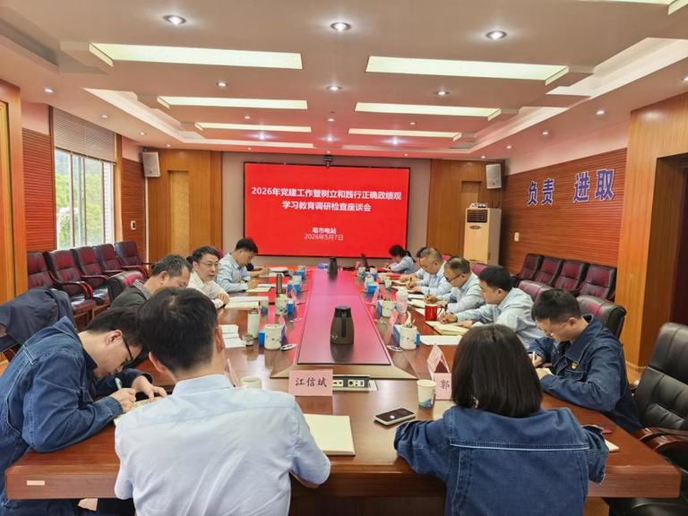 徐磊赴公司基层单元调研查抄党建及设置与践行正确政绩观学习教育工作