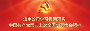 学习贯彻党的二十大心灵